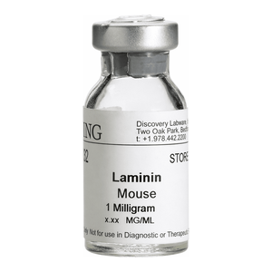 Solution Corning Laminin ECM pour la culture cellulaire 2D et 3D - Product Image 3