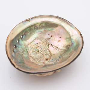 Nautical decor <b>abalone</b> <b>shell</b> cheapest cost natural seashells Vietnam supplier sale ocean sea <b>shells</b> - Product Image 4