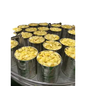 Vietnam Canned pineapple Broken slices with Light Syrup contains no preservatives, good for health