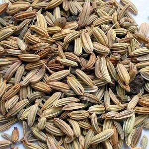 Pack OEM personnalisé huile essentielle de fenouil biologique extrait de plantes culture sauvage en bouteille emballée pour la vente à l'exportation - Product Image 5