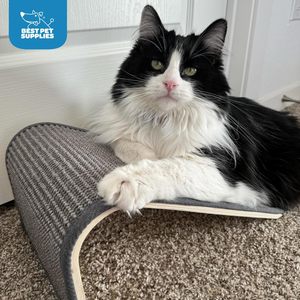 Mejor Rascador de Lujo Ecológico para Gatos, Poste Interactivo de Sisal, Seguro para las Garras, Protector de Muebles, Soporte de Juego Interior, Resistente - Product Image 1