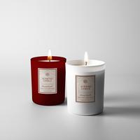 Vela Aromática Elegante y Ecológica de Cera de Soya en Frasco de Vidrio Simple para Halloween, Graduación, San Valentín, Navidad, Fiestas de Año Nuevo