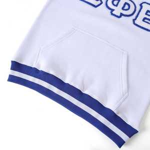 Sudadera de Cuello Redondo Raglán Zeta Phi Beta con Bordado Chenille, Ropa de Sororidad Griega, Sudadera Unisex de Algodón Premium - Product Image 3