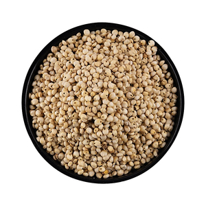 Graines de sorgho de haute qualité en vrac, exportées d'Afrique du Sud, GLOBAL EXPORT... pour les distributeurs et importateurs en gros du monde entier - Product Image 4