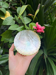 จานเปลือกหอยมุกขัดเงาคุณภาพพรีเมียม สำหรับตกแต่งบ้านหรูหรา - ราคาขายส่ง - Product Image 2