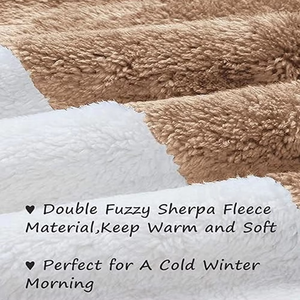 2026 Mejor Precio al por Mayor Sudaderas Sherpa Personalizadas con Estampado, Forro Polar, Estilo Urbano, Insignia Frontal, Bordado, Encaje, Casual, Otoño - Product Image 4