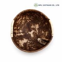 Bol en coquille de noix de coco vintage fait main avec poignées, bol à fruits en bois naturel, résistant à la chaleur, écologique pour un usage domestique