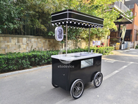 Chariot de plage commercial électrique en fibre de verre pour mini-congélateur de glaces, chariot à main pour la vente de crème glacée