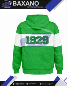 Sudadera con capucha de panel verde y blanco de Iota Phi Lambda Sorority para invierno, con diseño de bordado y ribete, ropa universitaria. - Product Image 5