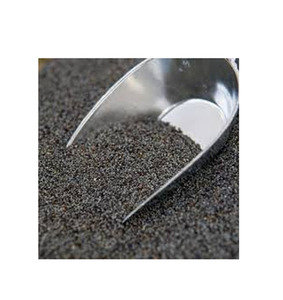 Graines de pavot en vrac, stock frais, qualité supérieure, directement de la source, pour les marchés mondiaux - Product Image 1