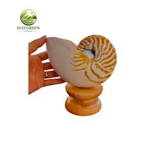 Concha de Nautilus Natural Premium, Pieza Decorativa Espiral de Lujo, Regalo Único del Océano, Concha de Concha Marina Coleccionable Rara, Decoración Artística Marina