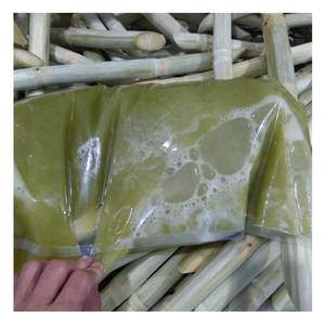 Jugo de Caña de Azúcar Congelado de Vietnam, Jugo de Caña de Azúcar de Primera Calidad, Jugo de Caña de Azúcar Natural, Proveedor de Envases a Granel - Product Image 4