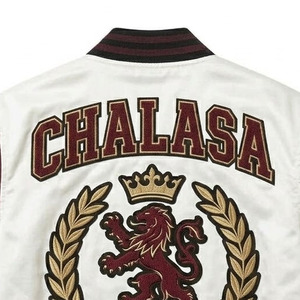 Chaqueta Varsity de Seda Satinada de Alta Calidad, Impermeable, Resistente al Viento, con Cuello Alto, Cierre Personalizado, Diseño de Moda para Hombre, para Invierno - Product Image 5