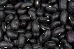 Frijoles Negros a Granel, Nueva Cosecha, Frijoles Negros Secos Naturales, Procesamiento de Alimentos, Proveedor Mayorista, Exportador - Product Image 5