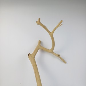 2026 Más Vendido: Soporte de Juguete Ecológico de Madera de Java para Pájaros, de Madera de Café, para Juguetes de Aves, de Fábrica Vietnamita al por Mayor - Product Image 2