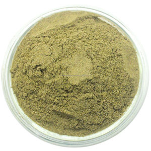 Poudre de Bhringraj Pure en Gros pour Soins Capillaires – Poudre de Bhringraj Naturelle à Base de Plantes pour Soutenir les Soins des Cheveux et Nourrir le Cuir Chevelu - Product Image 3