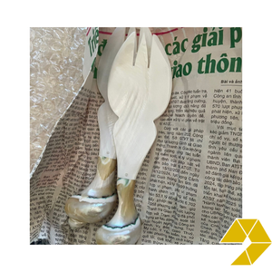 Handmade Seashell <b>Serving</b> <b>Spoon</b> for Beach Inspired Dining Coastal Home Decor Boutique Hotels Restaurants and Gift Stores - Product Image 3