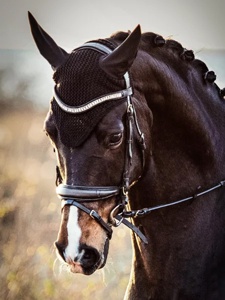 Banda de cejas curvada de cuero inglés de calidad superior Equipo de caballo duradero con decoraciones Gold Sier de tres filas para brida - Product Image 2