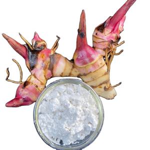 Almidón de Arrowroot de la Mejor Calidad, Harina Blanca en Polvo, Tipo Nativo de Vietnam - Product Image 1