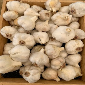 Poudre d'ail biologique 100% pure, ail blanc séché de haute qualité, 5-6 cm, export normal - Product Image 1