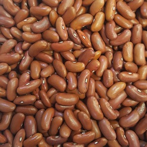 Colección de legumbres secas naturales: Frijoles secos de grado industrial en envases de exportación para pedidos de mayoristas - Product Image 4