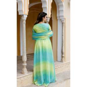 Robe trapèze en mousseline de soie pistache multicolore avec taille empire, en tissu Kota Doriya - Product Image 5
