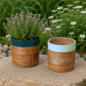 Juego de 2 Macetas de Madera Hechas a Mano, Modernas Macetas de Madera Pintadas a Mano para Plantas de Interior, Decoración del Hogar, Accesorios de Mesa - Product Image 2