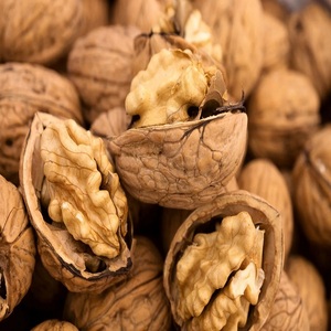 Suministro de Fábrica: Nueces con Cáscara y Nueces sin Cáscara de Alta Calidad, Nueces Frescas Naturales en Venta al Precio Más Bajo, Exportación al por Mayor - Product Image 3