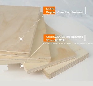 Tablas de madera maciza de pino ecológicas de 4 pies x 8 pies con certificación CE CO, resistentes al agua, para construcción de muebles de madera en interiores E0 - Product Image 6