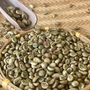 Café Robusta Écologique, Processus Lavé, Écran 13, Taux de Maturité Élevé, Matière Première pour Torréfaction, Stock Important, Dak Lak - Product Image 1