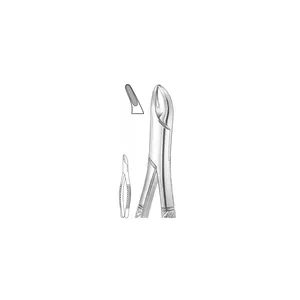 Pinces d'extraction dentaire DENTRIC IMPLANTS, modèle américain, instruments chirurgicaux dentaires pour dents supérieures centrales et laitières - Product Image 1