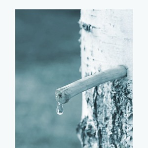 เซนิท แฮปปี้ โคเรีย เบิร์ช แซป อะมิโน แอซิด 80 ชิ้น ทิชชู่ทำความสะอาดผิวหน้า ผลิตภัณฑ์ทำความสะอาดผิวหน้า แรงบันดาลใจจากเคบิวตี้และเคป๊อป - Product Image 3