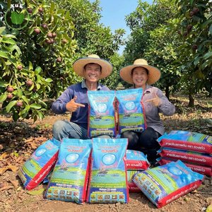 Conditionneur de sol Duangkaew, de haute qualité, naturel et organique, améliore la structure du sol, sa fertilité, son pH acide, respectueux de l'environnement, prêt à l'emploi - Product Image 6