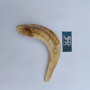 Shofar de cuerno de carnero natural, el más vendido, bellamente elaborado para ceremonias, festividades judías, uso espiritual y eventos religiosos - Product Image 6