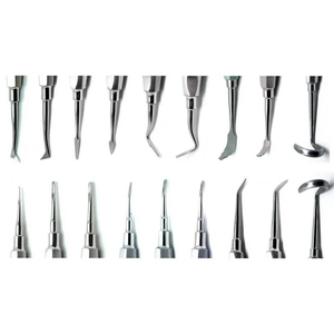 Elevador de Raíces Dentales de la Mejor Calidad, Fácil de Usar, Precio al por Mayor, para Dentistas - Product Image 5