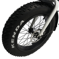 Vélo électrique MONO avec batterie amovible, pneus élargis et renforcés, design léger, longue autonomie, E-Bik OEM/ODM disponible