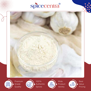 Fournisseur d'origine indienne vendant de la poudre d'ail séché 100% pure, naturelle, authentique et de haute qualité, personnalisable pour la cuisine - Product Image 4