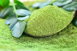 Poudre de Moringa Naturelle pour les Entreprises de Produits Alimentaires à Base de Plantes – Poudre de Feuilles de Haute Qualité pour Emballages Commerciaux et de Détail - Product Image 3