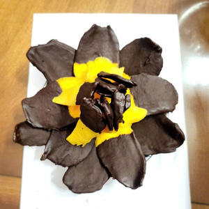 Bouchées de mangue trempées dans du chocolat, fruits tropicaux séchés de qualité supérieure, tranches enrobées de chocolat riche, collation sucrée et acidulée gourmet, vente en gros - Product Image 2