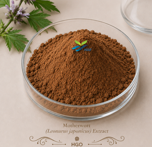 HGO Suministro directo de fábrica Extracto de agripalma natural puro (Leonurus japonicus) (grado alimenticio) Extracción de agua/extracción de alcohol - Product Image 1