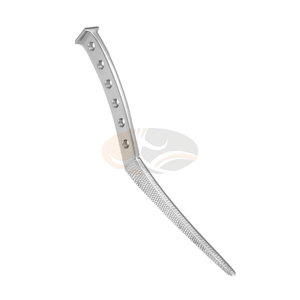 Râpe chirurgicale orthopédique manuelle Austin Moore pour la préparation osseuse, à tige étroite et standard, en acier inoxydable de haute qualité, pour Thompson - Product Image 4