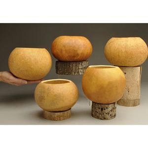 Bols en calebasse écologiques faits à la main du Vietnam pour servir les aliments et la décoration rustique de la maison - Product Image 2
