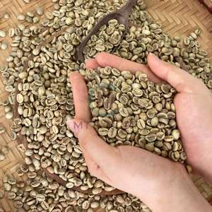 ราคาขายส่งโดยตรง ราคาประหยัด คุณภาพสูง เมล็ดกาแฟอาราบิก้า โรบัสต้า ออร์แกนิค คั่วเขียว บริสุทธิ์ 100 เปอร์เซ็นต์ - Product Image 1