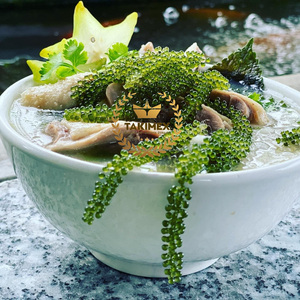 Caviar séché de raisin de mer vert frais biologique du Vietnam pour la salade mangeant l'emballage d'huître avec le sac de fermeture éclair origine au détail - Product Image 3