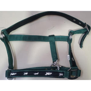 À VENDRE PP HORSE 3 PLIS HALTER AVEC ROUILLE RACCORD COULEUR VERT EN DOLLAR 2.5 CARTE DE CRÉDIT TAILLE ACCEPTÉE PLEINE COB - Product Image 2
