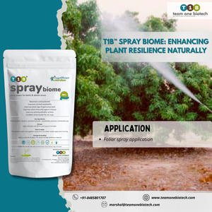 Puissance de pulvérisation à prix d'usine direct pour le stress biotique et abiotique avec une qualité supérieure conçue pour la vente par les exportateurs indiens - Product Image 3