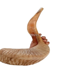 Prix unitaire Corne de bélier moyenne Kasher Shofar polie fabriquée en Israël Corne de koudou par A Z Crafts - Product Image 1