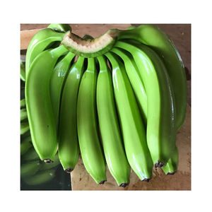 Bananes Cavendish vertes jaunes de haute qualité, vente en gros, bananes de première qualité, meilleur prix, bananes fraîches - Product Image 4