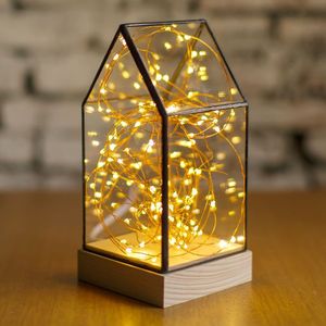 Terrario de Metal y Vidrio Personalizado en Oro Rosa, Moderno Macetero de Vidrio para Plantas de Interior, Suculentas, Plantas Aéreas y Terrarios DIY - Product Image 2