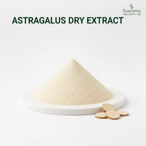 Extracto Seco de Raíz de Astrágalo de Alta Calidad para Exportadores e Importadores en Mercados de Ingredientes Botánicos - Product Image 2